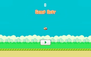 Flappy Bird 2D Game