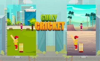 Gully Cricket