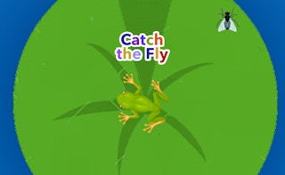 Catch the Fly